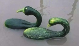 博雅吃瓜网红是谁啊图片,网络红人的崛起之路