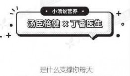 丁香 理论 在线观看,揭秘在线观看背后的心理学奥秘